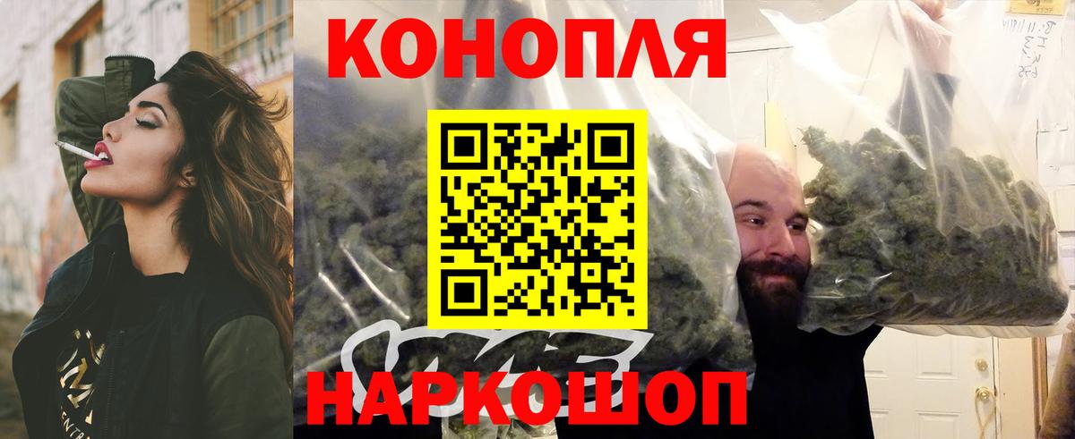 Бошки Шишки планчик Норильск